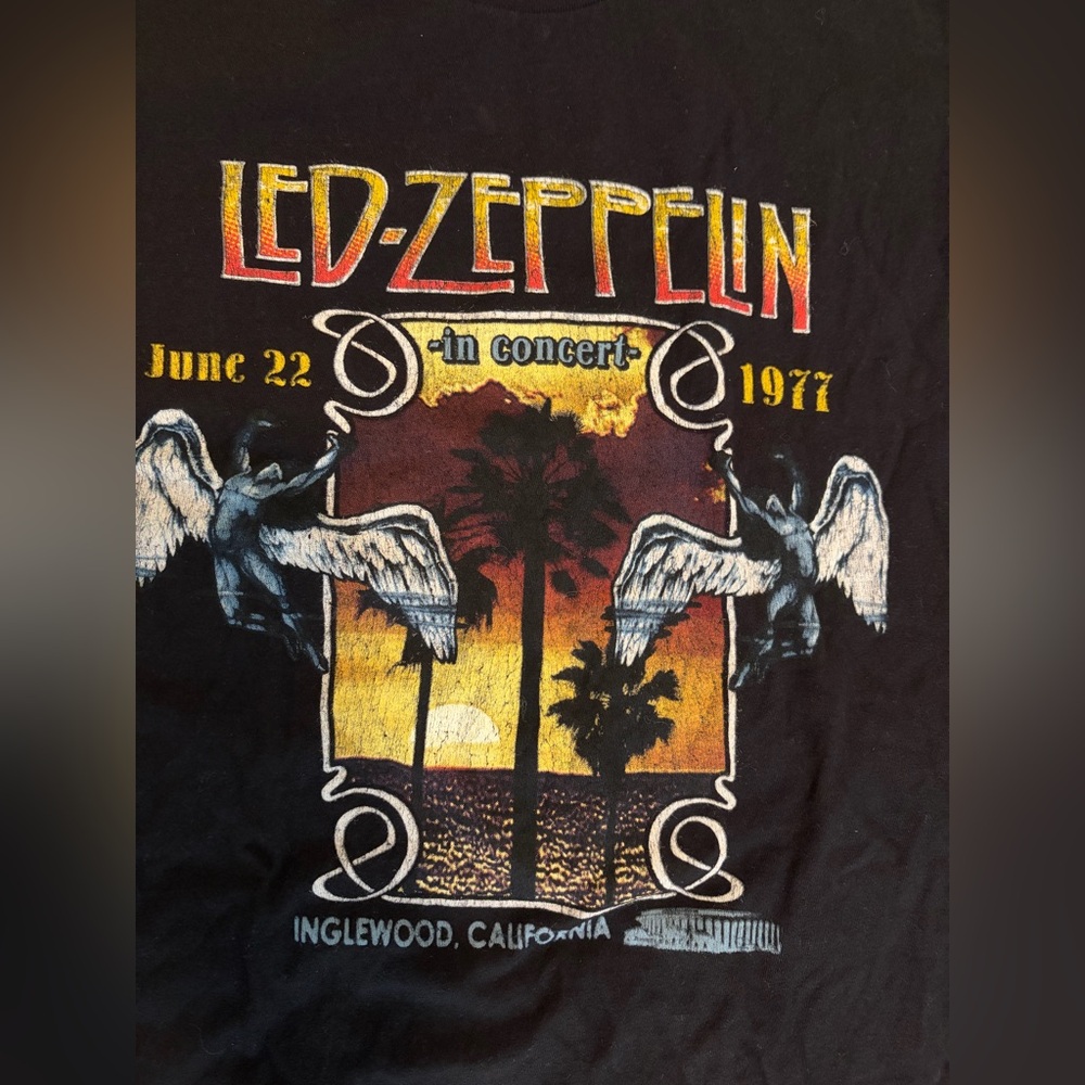 Vintage 1977 LED Zeppelin Black Graphic Concert Tee - Sunset Palm Design